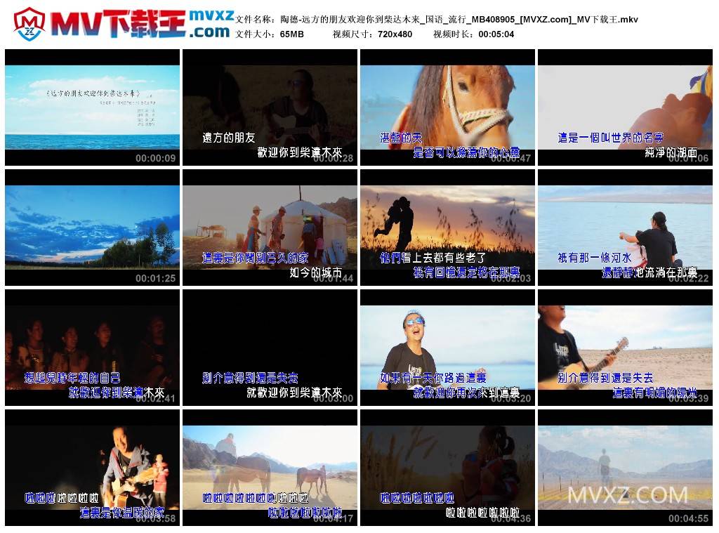 陶德-远方的朋友欢迎你到柴达木来_国语_流行_MB408905